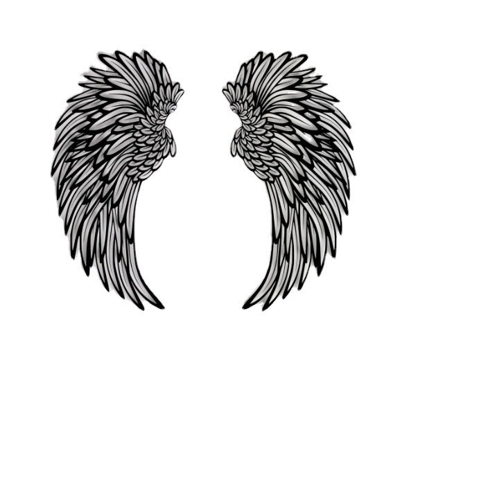 Angel Wings Wall Light